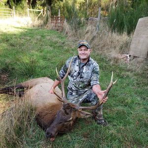 Meet your Posher, Will